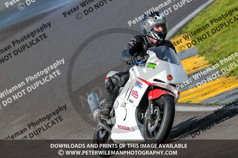 PJ Motorsport 2019;anglesey no limits trackday;anglesey photographs;anglesey trackday photographs;enduro digital images;event digital images;eventdigitalimages;no limits trackdays;peter wileman photography;racing digital images;trac mon;trackday digital images;trackday photos;ty croes